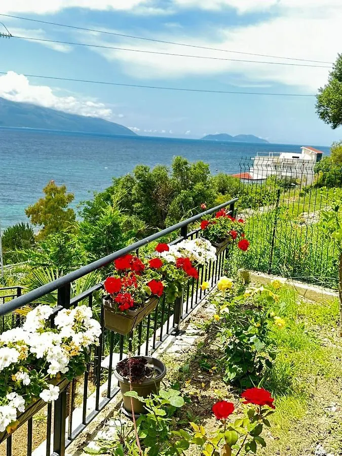 Rezidenca Oliva Apartment Vlore Albania